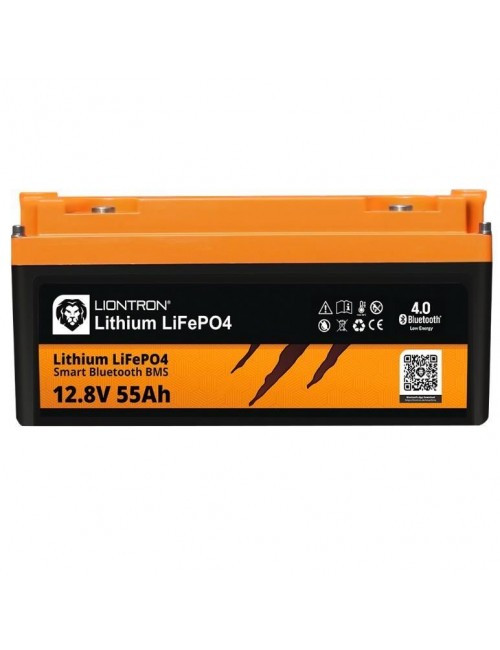 LiFePO4 batterij 12V 55Ah LionTron