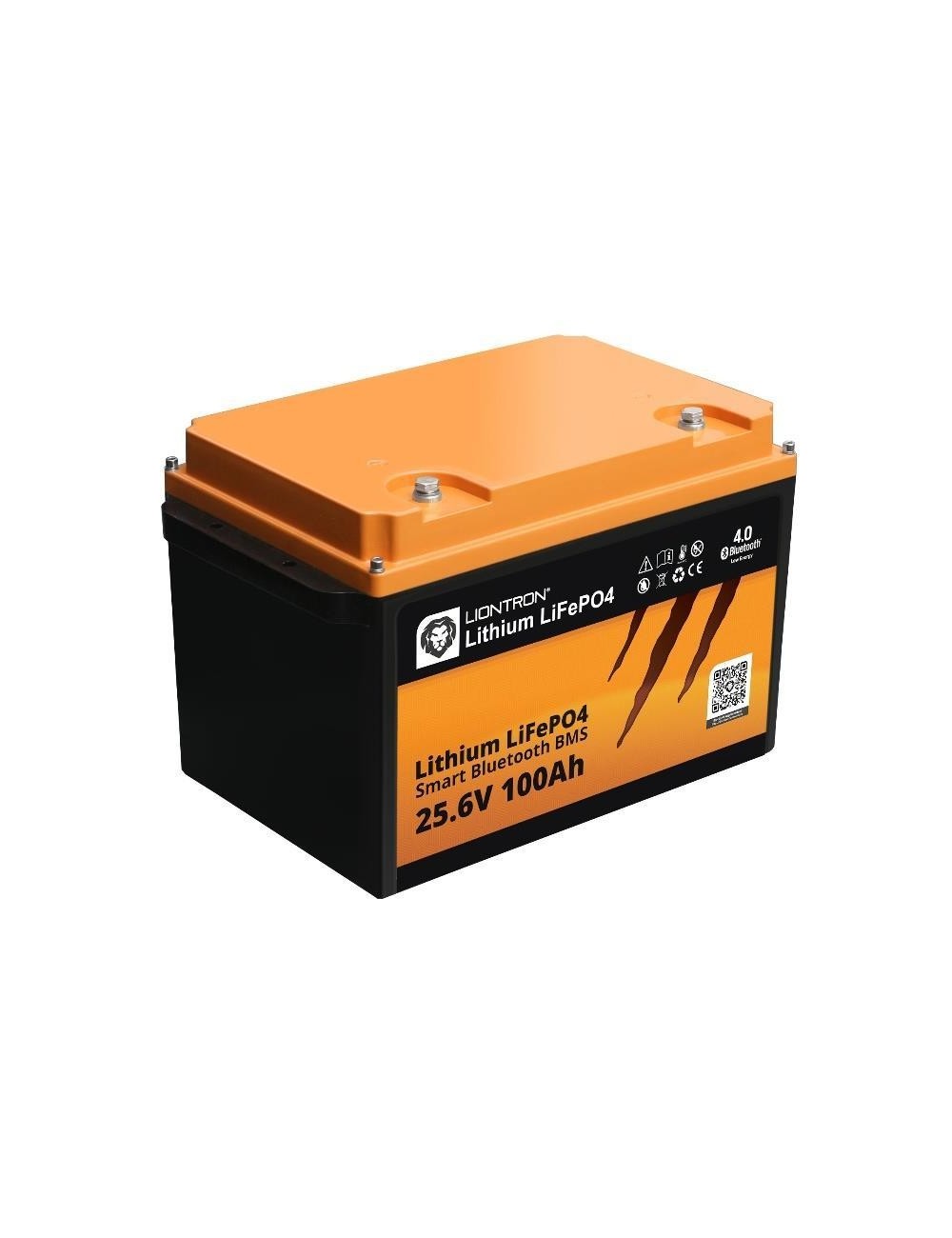 Batterie LiFePO4 24v 100Ah LionTron