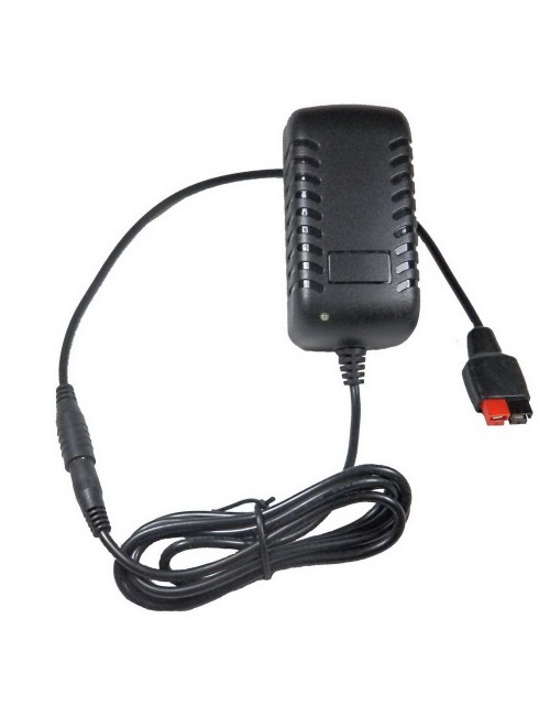 Charger for LiFePO4 6v 2A