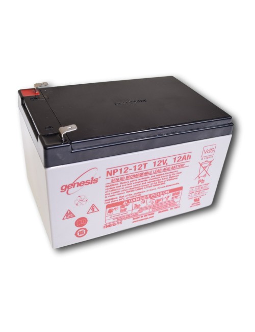 Loodbatterij 12V 12Ah (NP12-12)