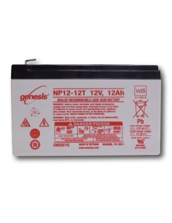 Loodbatterij 12V 12Ah (NP12-12)