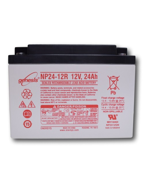 Loodbatterij 12V 24Ah (NP24-12)