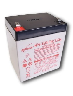 Loodbatterij 12V 5Ah (NP5-12)