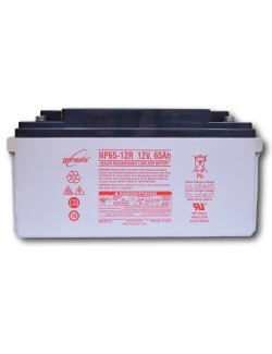 Batterie Plomb 12V 65Ah (NP65-12)