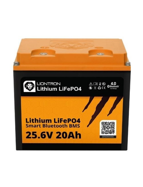 Batterie LiFePO4 24v 20Ah LionTron