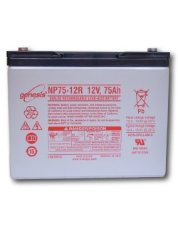 Batterie Plomb 12V 75Ah (NP75-12)