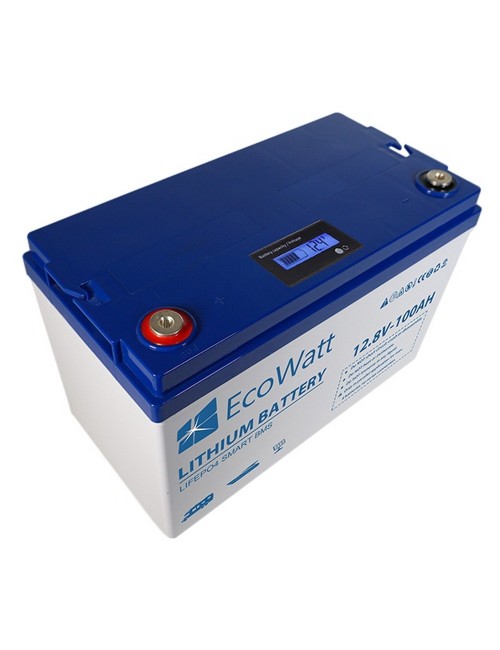 LiFePO4 batterij 12V 100Ah EcoWatt