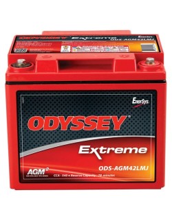 Batterie Plomb 12V 42Ah (PC1200MJT/ODS-AGM42LMJ)