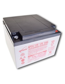 Loodbatterij 12V 24Ah (NP24-12)