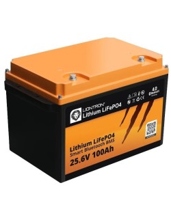 LiFePO4 batterij 24V 100Ah LionTron