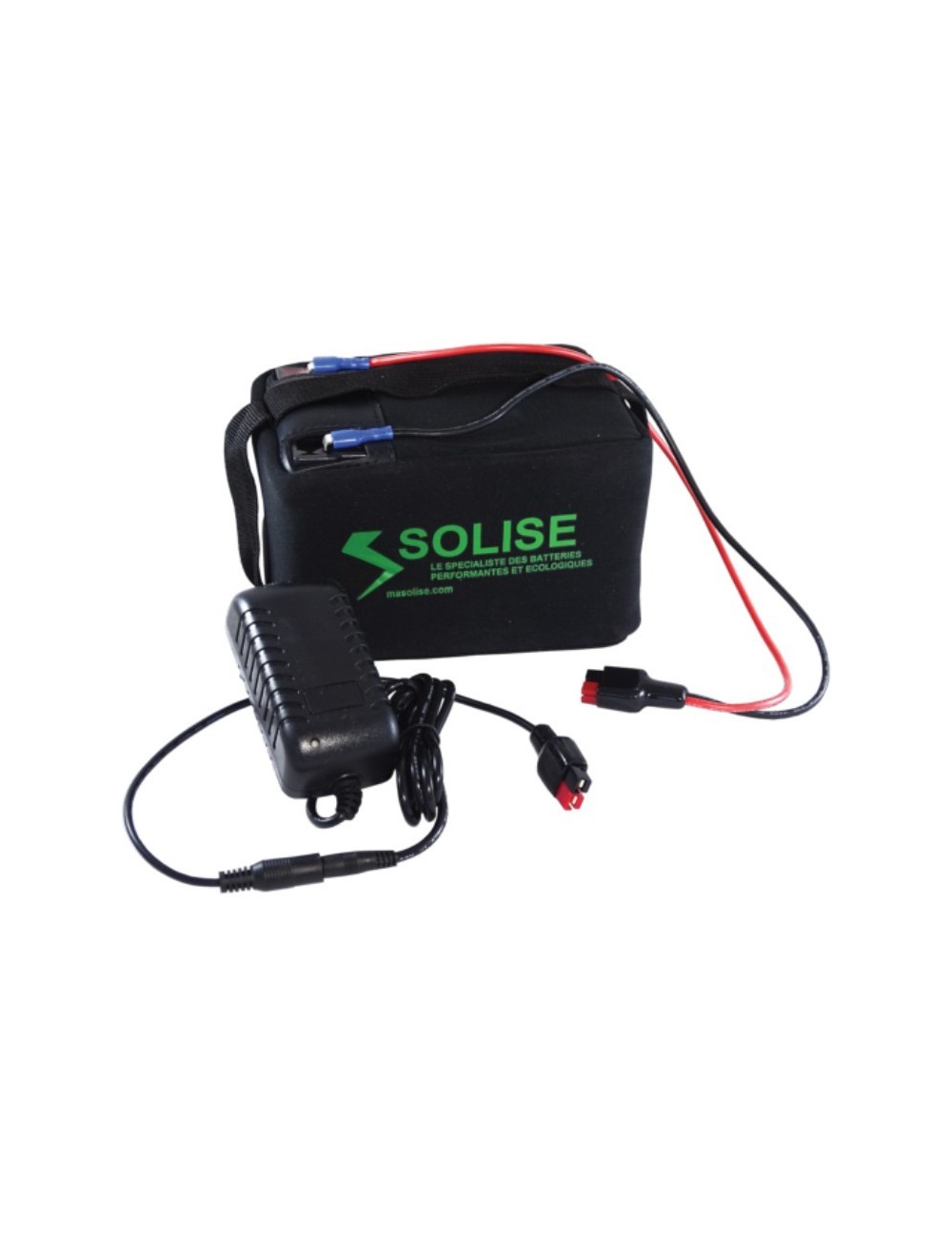 Kit Golf LiFePO4 12v 14Ah B+C+S